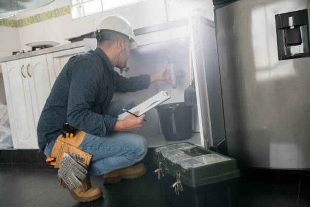 Best Residential Plumbing Services  in Spring Park, MN
