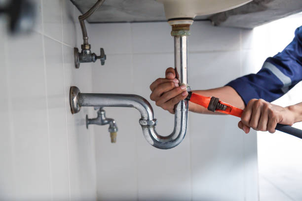 Best Leak Detection Services  in Spring Park, MN