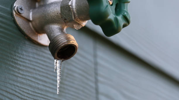 Shower Repair Services in Spring Park, MN
