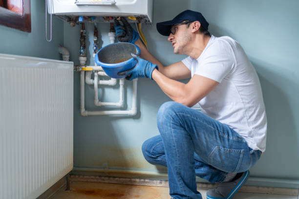 Best Commercial Plumbing Services  in Spring Park, MN